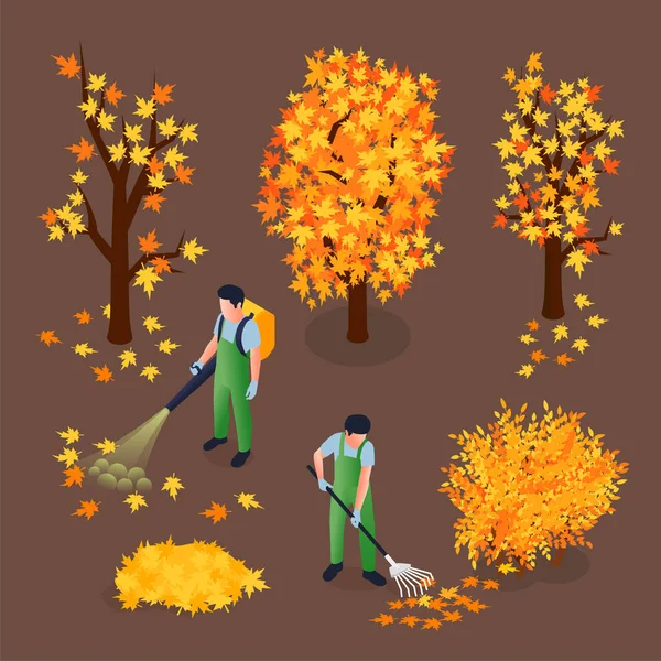 Cleaning Autumn Foliage Isometric Vector Illustration Two Male Workers Collecting — 图库矢量图片