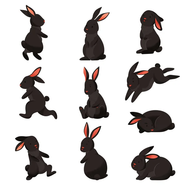 Rabbit Color Set Isolated Cartoon Style Images Black Bunny Various — ストックベクタ