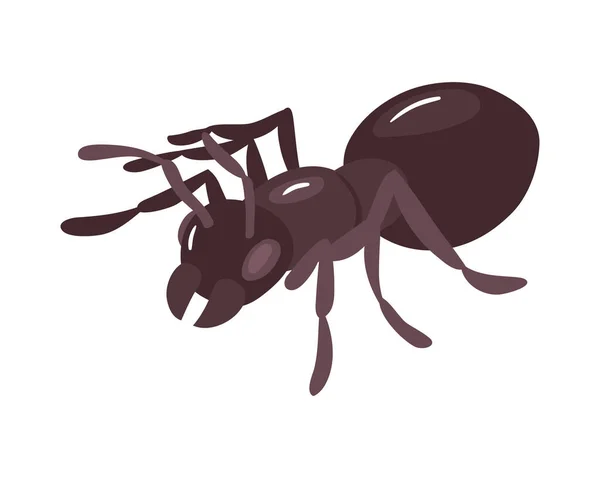 Isometric Black Ant White Background Vector Illustration — Vector de stock