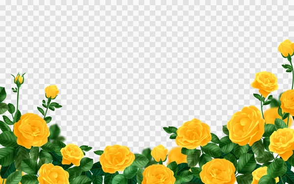 緑の葉のベクトル図と黄色のバラの花に囲まれた透明な背景を持つ現実的な黄色のバラの茂みの組成 — ストックベクタ