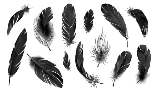Set Con Imágenes Monocromáticas Aisladas Plumas Realistas Pájaro Color Negro — Vector de stock