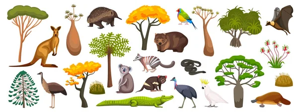 Australian Fauna Flora Flat Set Animals Birds Plants Isolated White — Stock Vector