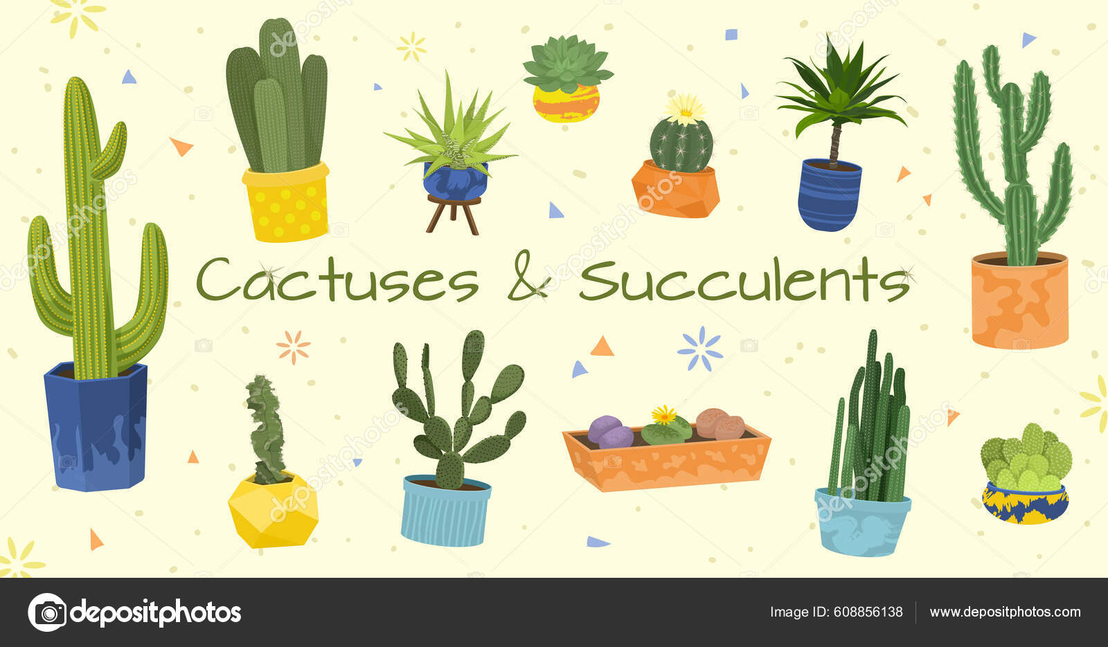 Dois, cacto, plantas, branco, fundo  Cactus vector, Cactus, Cactus plants