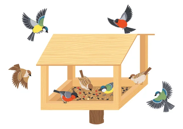 Vögel Cartoon Komposition Mit Isolierten Bildern Von Vögeln Fliegen Hölzernen — Stockvektor