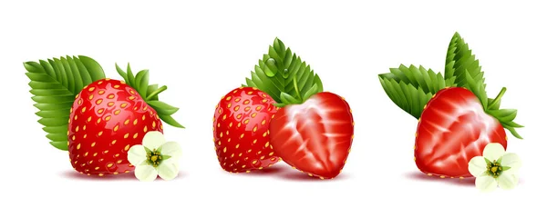 Rote Erdbeeren Mit Blühenden Blumen Und Grünen Blättern Drei Realistische — Stockvektor