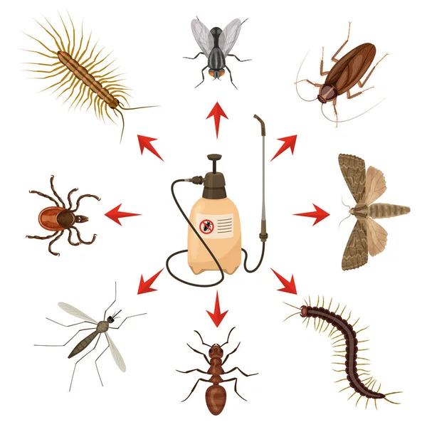 Zararlı Böcekler Merkezde Renkli Çizgi Film Bilgi Böcek Ilacı Vektör — Stok Vektör