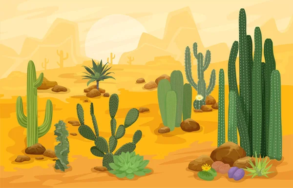 Cactuces Composición Del Paisaje Dibujos Animados Diferentes Variedades Cactus Que — Vector de stock