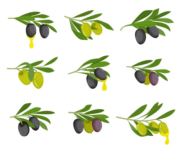 Olives Flat Icon Set Black Green Olives Branches Oil Them — Stock Vector