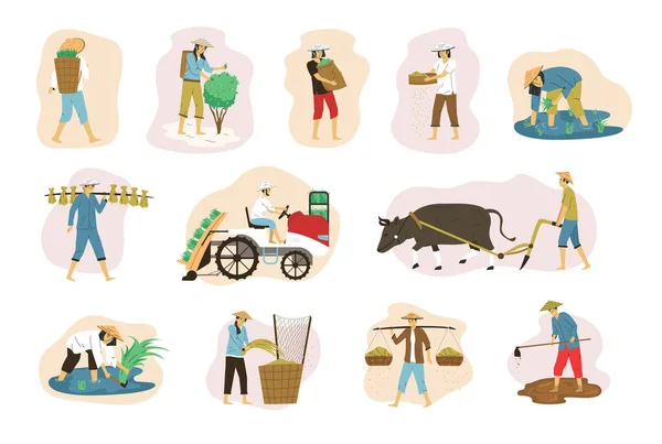 Flat Set Asian Farmers Collecting Crops Plowing Isolated Vector Illustration — Stock Vector