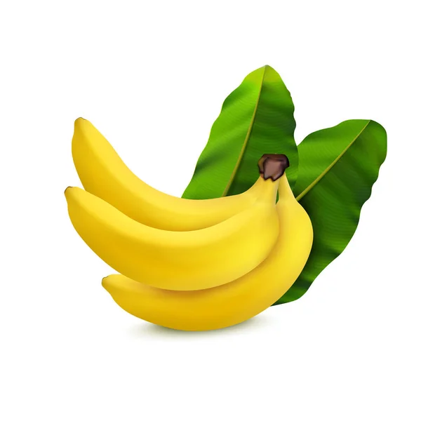 緑の葉と熟した黄色のバナナの束は白い背景ベクトルイラストに現実的な組成物 — ストックベクタ
