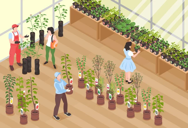 Ισομετρική Έννοια Κήπο Φυτώριο Τους Ανθρώπους Buing Φυτά Διανυσματική Απεικόνιση — Διανυσματικό Αρχείο