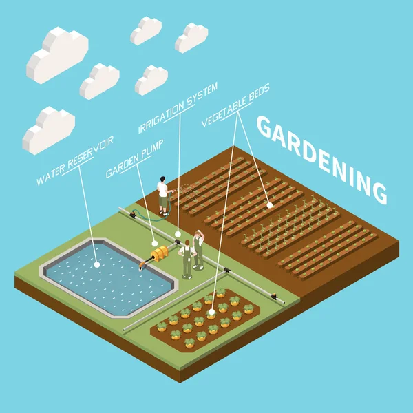 Jardinería Fondo Isométrico Con Camas Verduras Sistema Riego Depósito Agua — Archivo Imágenes Vectoriales