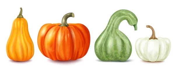 Pumpkin Realistic Set Seasonal Harvest Symbols Flat Isolated Vector Illustration — Stock Vector