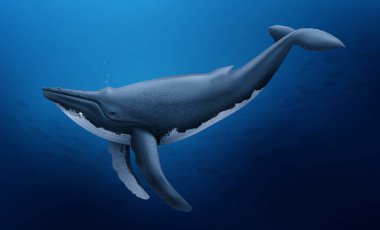 Deniz derinliğinde yüzen yalnız balina gerçekçi deniz kompozisyonu mavi vektör çizimi