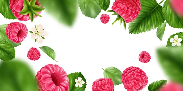 Weißer Hintergrund Mit Beeren Umrandet Blumen Und Blätter Von Reifen — Stockvektor