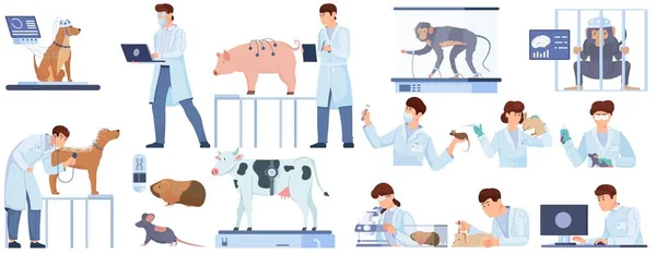 Laçları Test Eden Hayvan Düzlüğü Bilim Adamları Üzerinde Laboratuvar Deneyleri — Stok Vektör