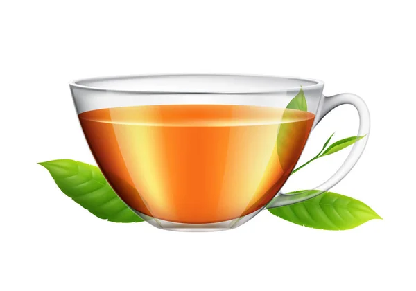 Realisztikus Üveg Csésze Fekete Vagy Gyógynövény Tea Zöld Levelek Vektor — Stock Vector