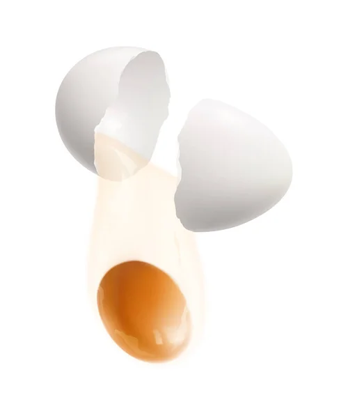 黄身のベクトルイラストと現実的な割れた卵 — ストックベクタ