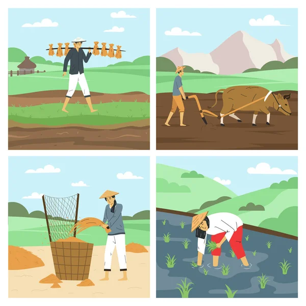 Asian Farmers Flat 2X2 Set Men Women Working Fields Harvesting — Stock Vector