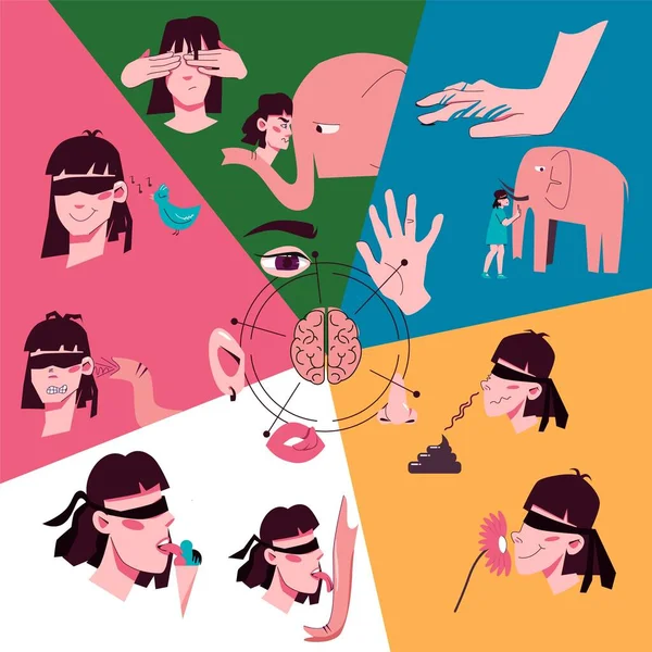 Sentido Órgano Personas Plana Collage Color Composición Mujer Huele Lame — Vector de stock