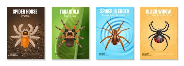 Collection Different Species Spiders Colour Image Stock Vector (Royalty  Free) 1536964073, Shutterstock