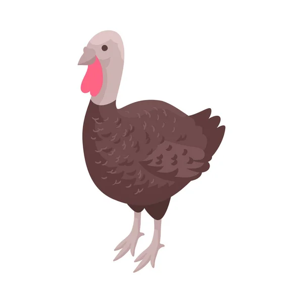 Gallina Pavo Isométrico Sobre Fondo Blanco Vector Ilustración — Archivo Imágenes Vectoriales