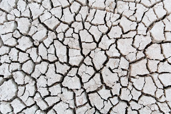 Conceito de aquecimento global. Rachaduras secas na terra, escassez de água grave. Imagem De Stock