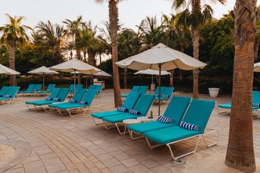 Açık şemsiyelerin altında havluyla mavi yatak havuzu güzel palmiye ağaçları, dinlenme, tatil, rahatlama zeminine karşı.