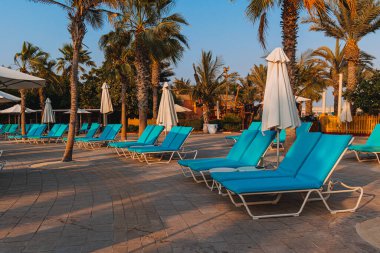 Şemsiyelerin altında havluyla mavi bir yatak havuzu güzel palmiye ağaçlarının zeminine karşı dinlenme, tatil, rahatlama..