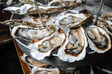 Koyu ahşap arka planda limonlu, beyaz bir tabakta istiridye, deniz ürünü, yumuşakça, lüks..