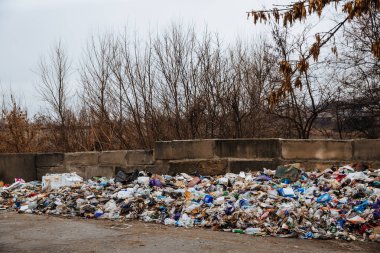 Dneprorudnoe, Ukrayna - 29 Ocak 2020: Ormanın yakınındaki çimlere çöp yığını. Ekolojik felaket. Yasadışı çöplük. Doğanın kirliliği.