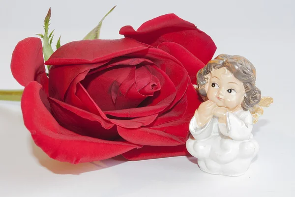 Ángel Cupido en la rosa roja — Foto de Stock