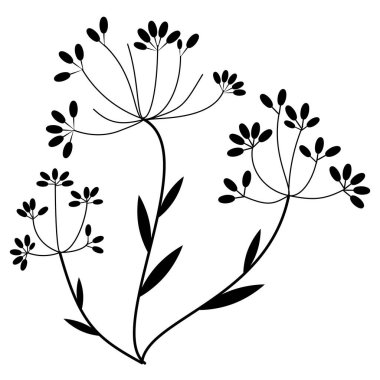 Tohumlu dal şişkinliği, şemsiye. Doğrusal çizim. Farklı tasarımlar için kullan. Görüntü.