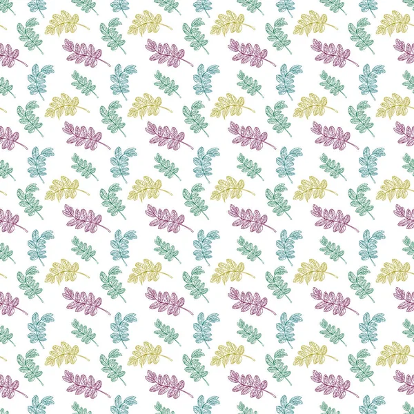 Seamless Background Sprig Acacia Texture Design Illustration — Stock Photo, Image