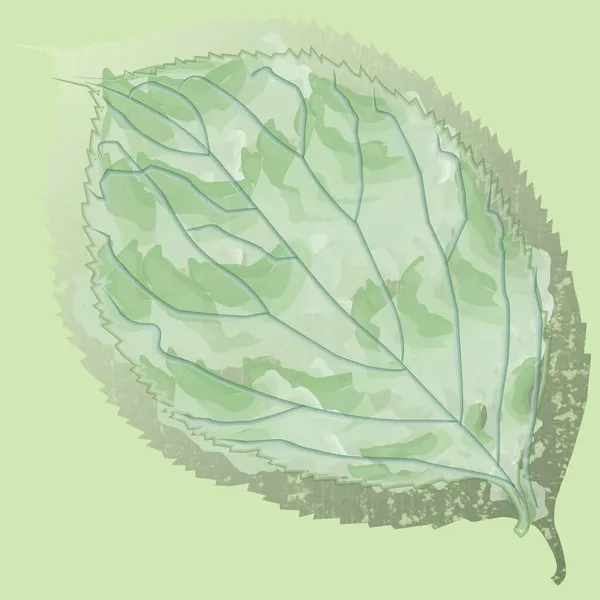 水彩画の葉抽象化 いい葉だ デザインのアイコン イラスト — ストック写真