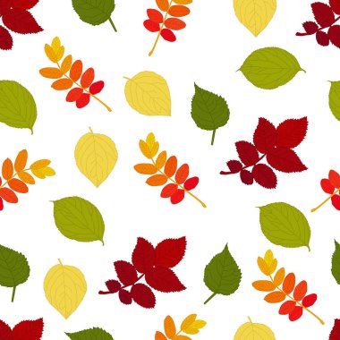 Kusursuz bir arka plan, dallardan sonbahar bitkisi. Tasarım için doku. Görüntü.