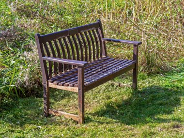 Yeşil bitki örtüsüyle çevrili eski ahşap bank.