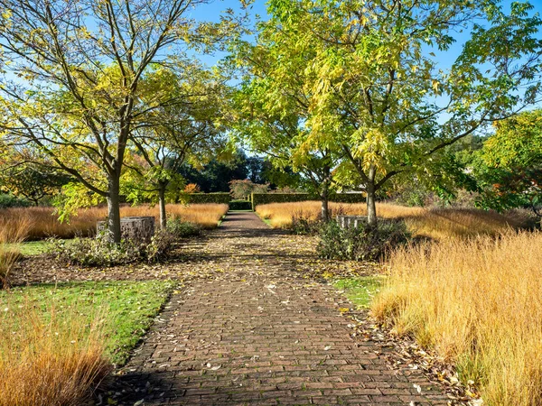 Path through a park on a sunny autumn day — Stock Photo, Image