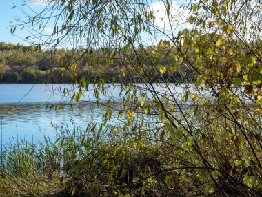 Göl kıyısındaki genç ağaçların yapraklarının arasından görülebiliyor.
