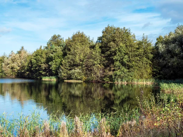 ノース・ケイブ湿地、イースト・ヨークシャー、イングランドに湖と木 — ストック写真