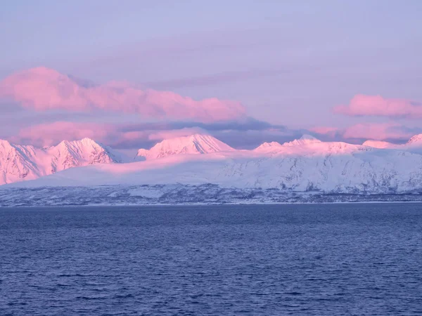 Roze zonsondergang boven de besneeuwde kust van Noord-Noorwegen — Stockfoto