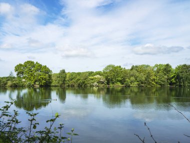 Eastrington Gölü, Doğu Yorkshire, İngiltere