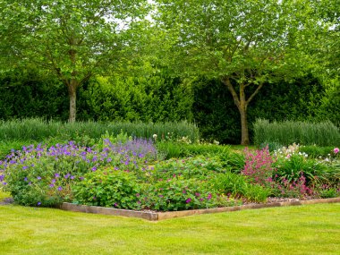 Flowerbeds with mixed flowers and a green lawn in a summer garden with trees and hedges