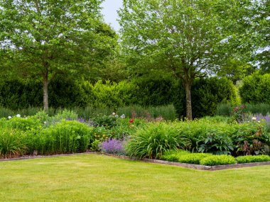 Flowerbeds with mixed flowers and a green lawn in a summer garden with trees and hedges