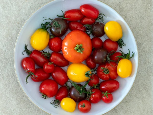 Colourful red, orange, brown and yellow mixed homegrown tomato varieties displayed in a bowl