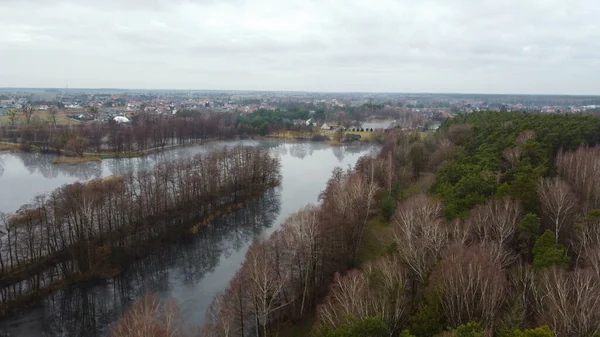 Верхній Вид Річку Сухі Дерева Березі Задньому Плані Будинку Польща — стокове фото