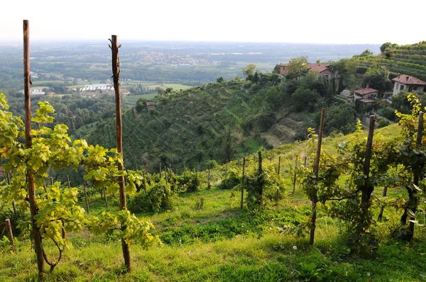 brianza, montevecchia, Lombardiya, İtalya üzüm bağları ile peyzaj