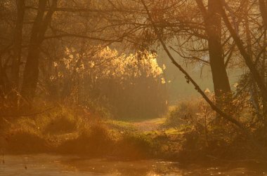 Göl günbatımı ışınları