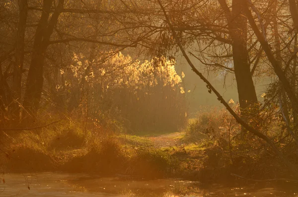 Göl günbatımı ışınları