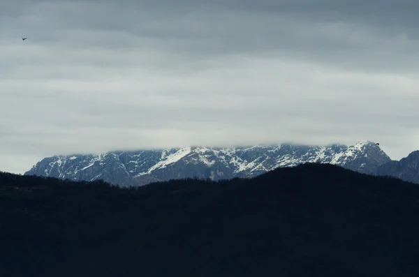 Bulutlar tarafından kaplı dağ